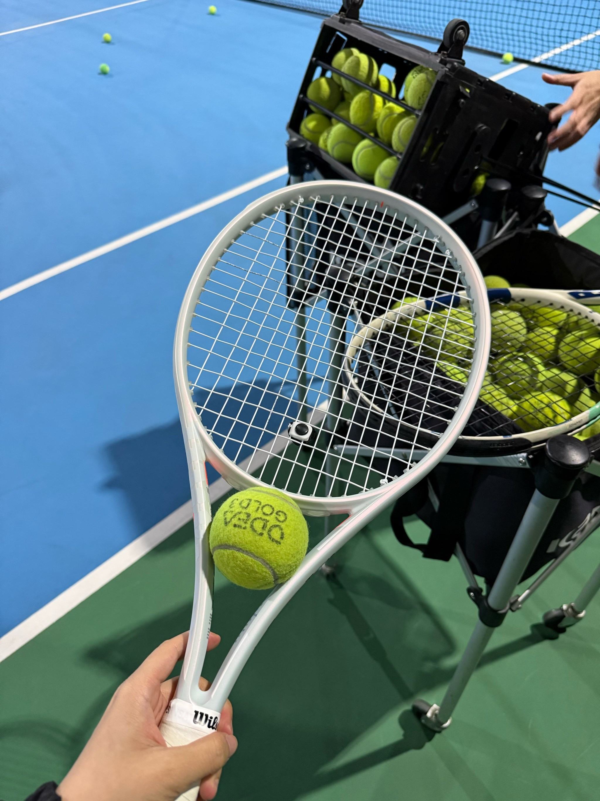 使得她在国 使得她在国