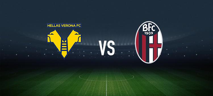 球员与观众 球员与观众