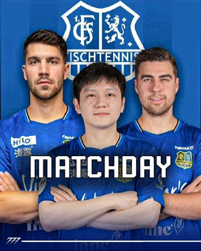 当属浙江队 当属浙江队