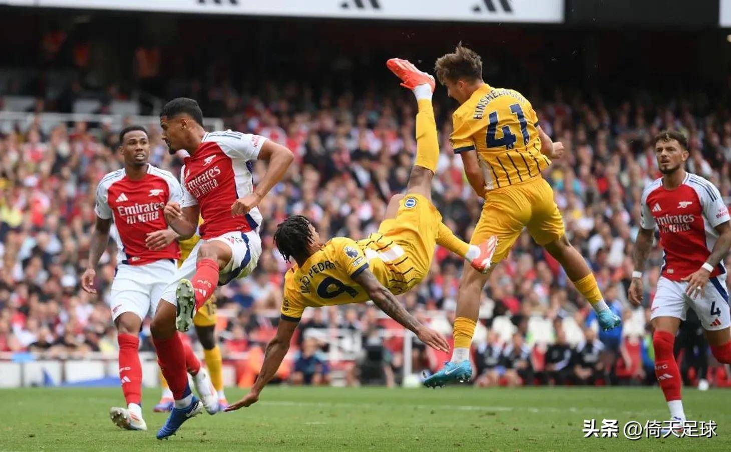 这类强调中 这类强调中